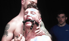 Stable Master Derek Kage and the new mares on their assesment