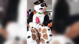 Hairy guy fellates himself and displays off his sensitive rubs