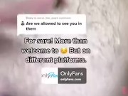 Caturday with Gay Chub | ATROPHYBODY