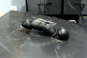 black cock cums hands free