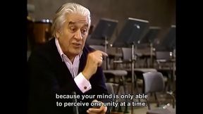 【切利比达克】【访谈】切利比达克谈论他的音乐哲学