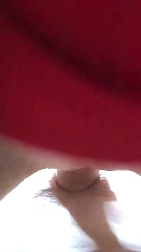 The Bitch Sat on Top and Started Fucking - Nicole and Alex