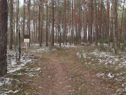 Perverted Exhibitionist: Walking Through the Woods in Winter (Small Penis) - Nude in the snow
