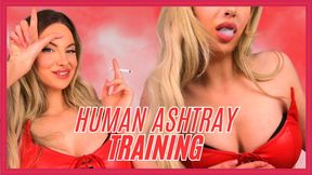 720MP4 Human Ashtray Training