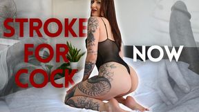 Stroke For Cock NOW