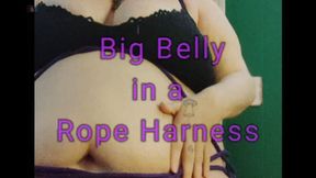 Big belly in a rope harness