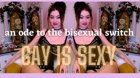 Gay Is Sexy / An Ode To The Bisexual Switch