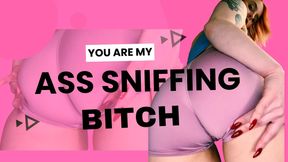 YOU ARE MY ASS SNIFFING BITCH