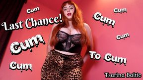 Last Chance To Cum