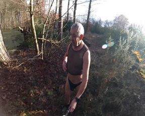 Cold Day in the Woods