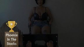 Phoenix In The Stocks (Small)