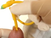 urinary catheter insertion and piss