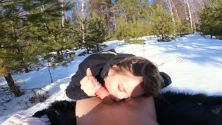 // I got lost in the forest and forester Vitya showed me the way // [ 4k ]