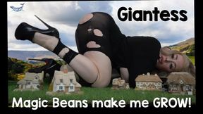 MAGIC BEANS GIANTESS