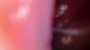 Teenie inside Giantess as she has Affair with a fellow giant POV 1080