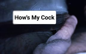 How's my cock you like it