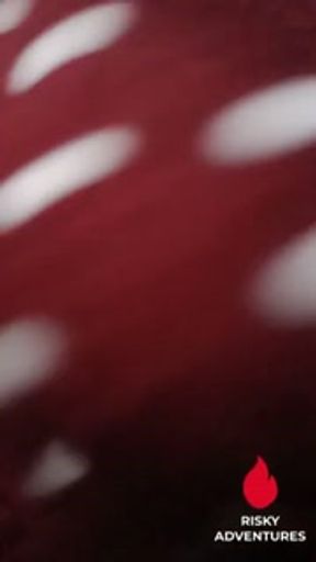 Nagpakantot Ang Call Center Agent sa Carpool Driver - Pinay Car Sex