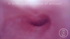 Exploring my Peehole and finding where I CUM from