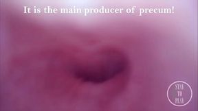 Exploring my Peehole and finding where I CUM from