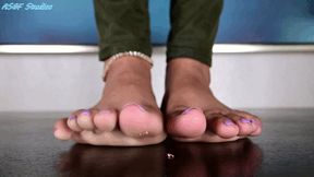 Toe Temptations and the flea boys - MP4