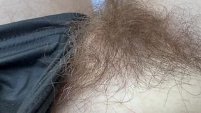 Closeup Hairy Moments