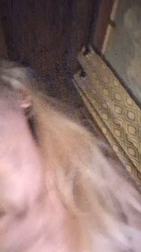 Pee Time In November 2