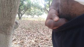 Forest public indian boy and handjob