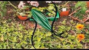 Jules Sterling is a Hungry Garden Ho