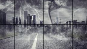 LP-274 Muscle Worship Me-4K