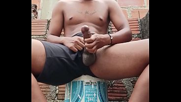 El toro vergon