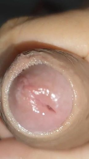 Growth Technique for Soft Cock Sold Out in 30 Seconds.