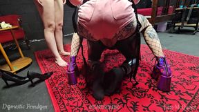 After Party Slut Gimp Gets Roasted