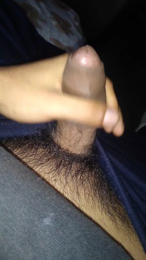 Pleasure in the Afternoon