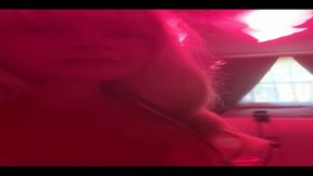 The Start of a Life Lesson Often Feels Good Stay Soft Like a Kitten