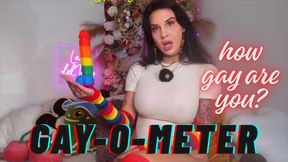 The Gay-o-Meter: How Gay Are You