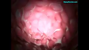 Glamorous Yua Stars in Seductive Anime Hentai Fantasies