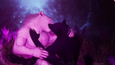 Gay Furry Synth Lovers | Lion & Wolf | Wild Life Furries