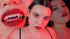 Vampire Goddess Worship - Mind Fuck Hijack by Demoness Countess Wednesday - Seduction, Mesmerize, Face Fetish, Female Led Relationship, Total Power Exchange, VFX MP4 1080p