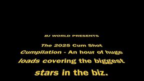 bj world 2025 cumpilation