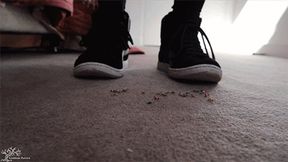 Shoe Cleaning Worshippers