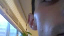 Bobby Sex Private Show