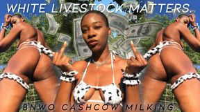 White Livestock Matters: BNWO CASHCOW MILKING