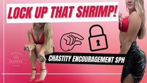 Lock Up That Shrimp - Chastity Encouragement SPH