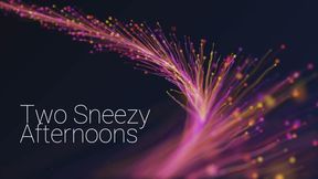 Two Sneezy Afternoons *4K*