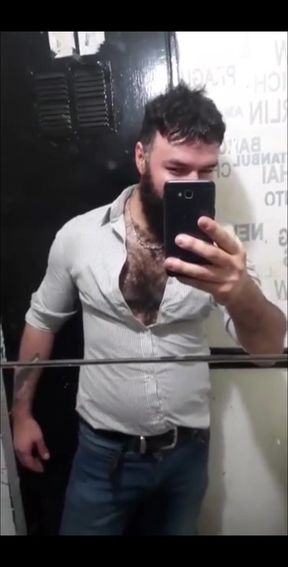 THE TRUE DAIRY STALLION