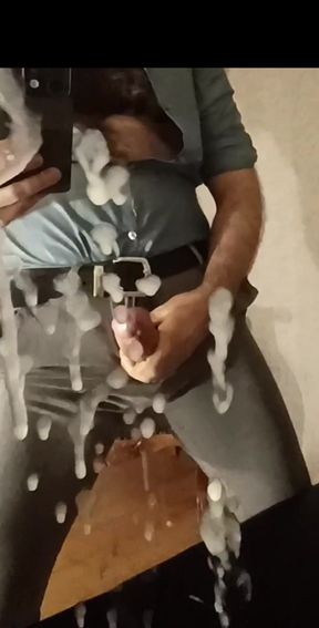 THE TRUE DAIRY STALLION