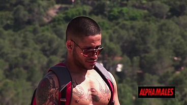 Alphamales - Let's go fuck this nice ass