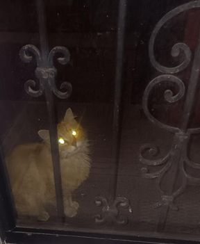 New Aged Granny In Leo's Playhouse