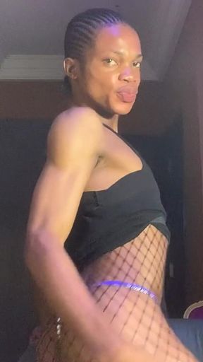 Net Dance