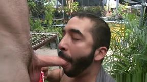 oip - fucking in garden